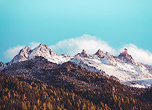 中赫全力一搏愿留住“国安” 球迷希望相关部门协调